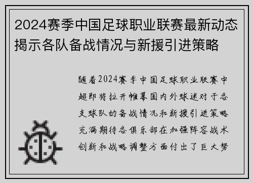 2024赛季中国足球职业联赛最新动态揭示各队备战情况与新援引进策略